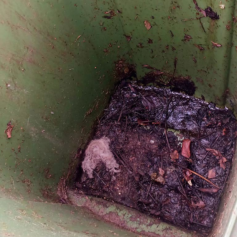 Before Image